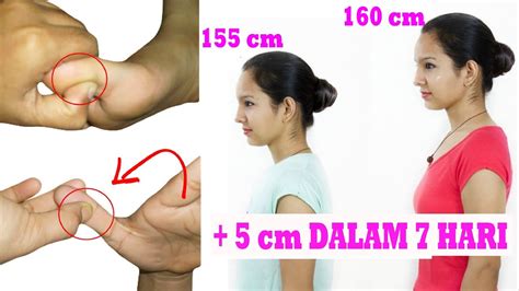 Nah, kali ini bacaterus.com akan memberikan beberapa. MeydinaPedia: 4 Metode Cara Menambah Tinggi Badan