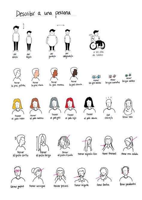 Eine erkennungsdienstliche behandlung (oder erkennungsdienstliche maßnahme) ist die erfassung von personenbezogenen und biometrischen daten einer person durch die polizei. Personenbeschreibung. Vokabeln, Übungen, Präsentation ...