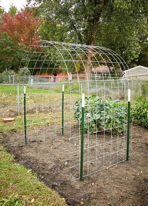 Free Trellis Plan Vegetable Garden Trellis Vegetable Garden Design