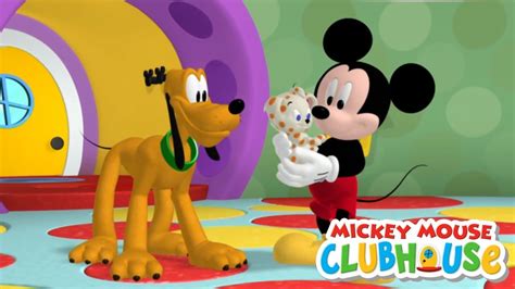 Mickey Mouse Clubhouse S01e16 Plutos Puppy Sitting Adventure Disney