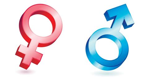 Male And Female Symbol Set Of Two Blue And Pink Icons Gender Symbols