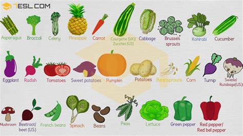 List Of Vegetables 200 Vegetables Names With Cool Pictures • 7esl