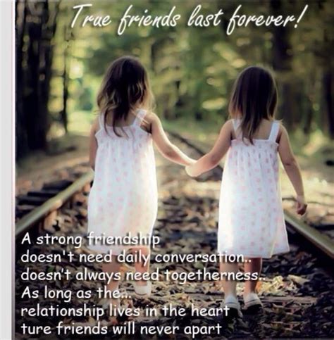 20 best friend quotes for your cute friendship best friends forever quotes best friend quotes