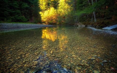 Hd Wallpaper Water Nature River Trees Flow Creek Rapid Swift