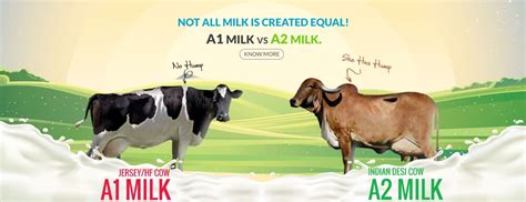 Farm Fresh Organic A2 Milk Mumbai, Gir Cow's Pure A2 Milk ...