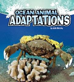Ocean Animal Adaptations | Capstone Library