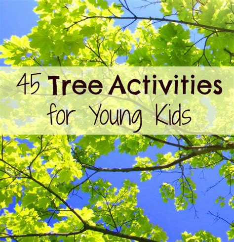 45 Tree Activities For Young Kids Asociación Española De Arboricultura