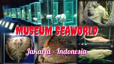 You can also upload and share your favorite wallpapers kehidupan. SEA WORLD ANCOL Museum misteri kehidupan laut dalam - YouTube