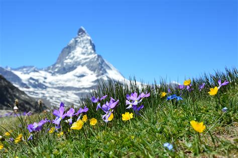 Zermatt Verano Hermoso Paisaje De Los Alpes Suizos Con Vistas A La