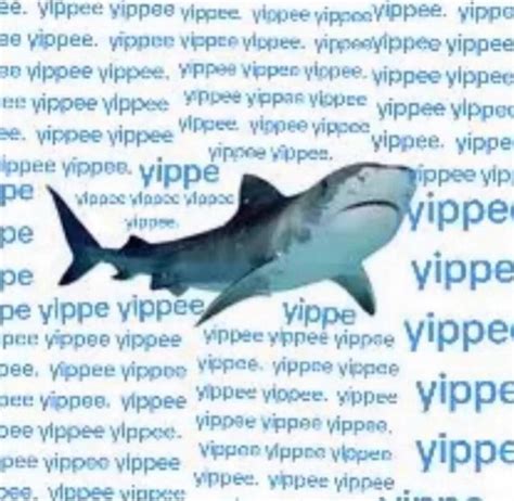 Fe Yippee Yippes Yippee Yippee Yippaaymppee Yippa Yippee Yipper