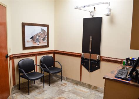 Dog & Cat Veterinarian & Animal Hospital | Garner, NC & Nearby