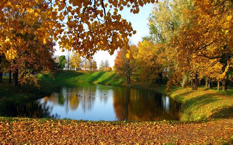 Lake In The Autumn Garden Wallpaper Nature Wallpapers 37871