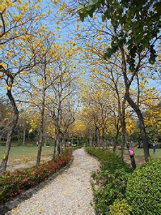 428 likes · 1 talking about this. 康樂及文化事務署 - 南昌公園 - 簡介