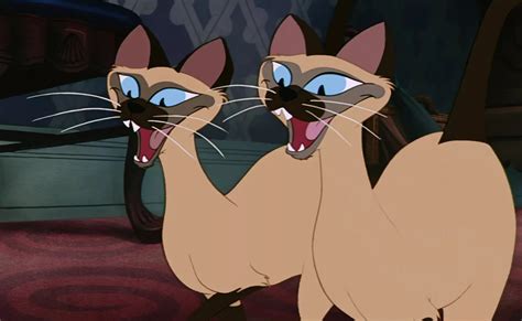 The Siamese Cat Song Lyrics Lady And The Tramp