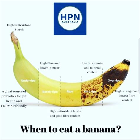 When To Eat Banana 🍌 Discussions