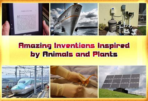 Amazing Inventions Inspired By Animals And Plants Did You Know Science