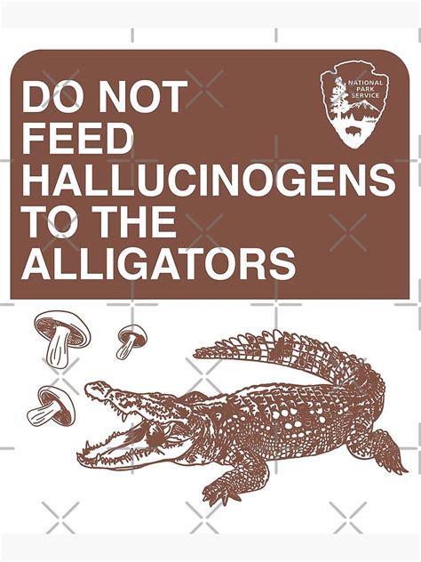 Do Not Feed Hallucinogens To The Alligators Meme Poster For Sale By