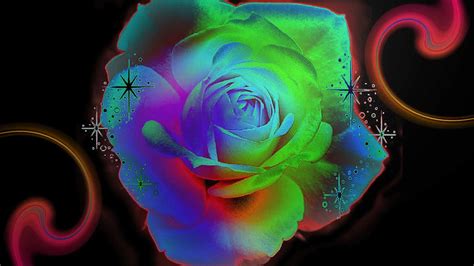 Rainbow Roses Wallpaper 48 Images