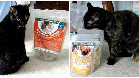 The complete guide to the best cat food for indoor cats. All Meat Cat Food - Cat Choices