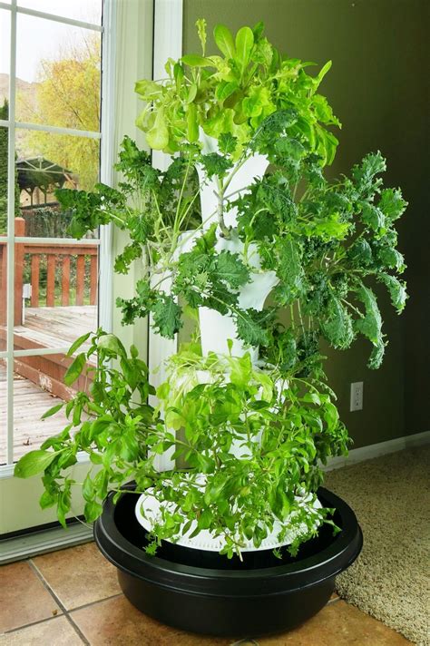 Self watering wicking system for traditional soil gardening subsystem. Foody 12 Hydroponic System | Foody Vertical Gardens