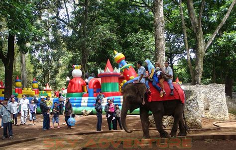 Aquarium berada di dalam kawasan taman marga satwa dan budaya kinantan / benteng fort de kock bukittinggi. Kebun Binatang Bandung | OUTBOUND LEMBANG BANDUNG-SKY ...