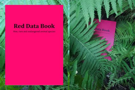 reddatabook project