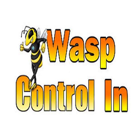 Wasp Control In