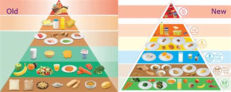 More buying choices $19.99 (16 new offers). Food Trends - Food Fallacies