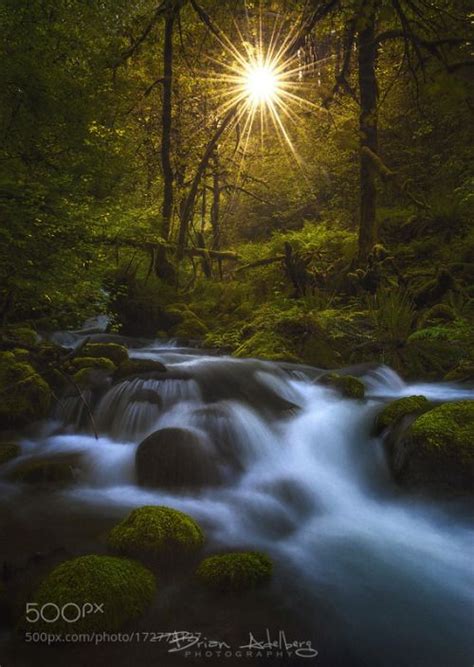 Stream Of Dreams By Brianadelberg Green Creek Light Oregon Tranquil