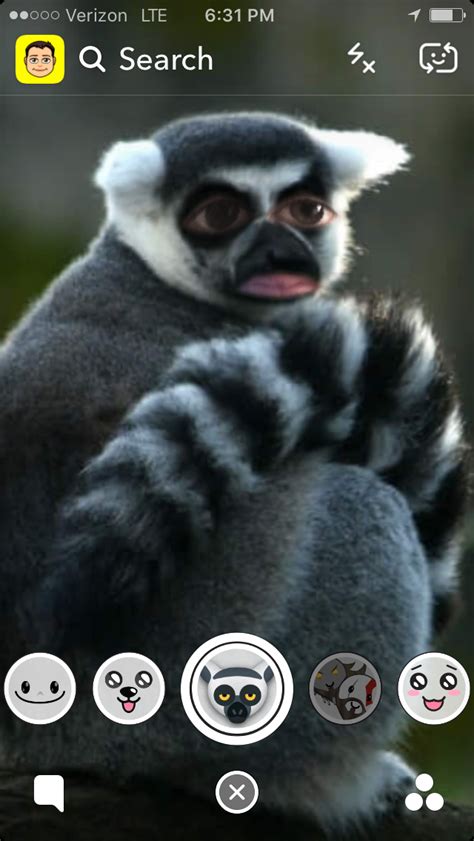 Realistic Lemur Snapchat Lens Filter Otlsm