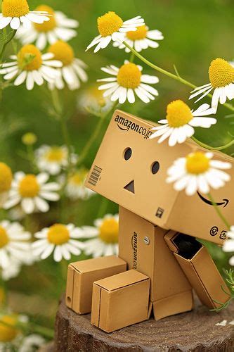 14 Ideas De Danbo Danbo Caja De Amazon Robots De Carton