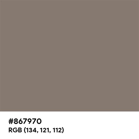 Soft Chocolate Color Hex Code Is 867970