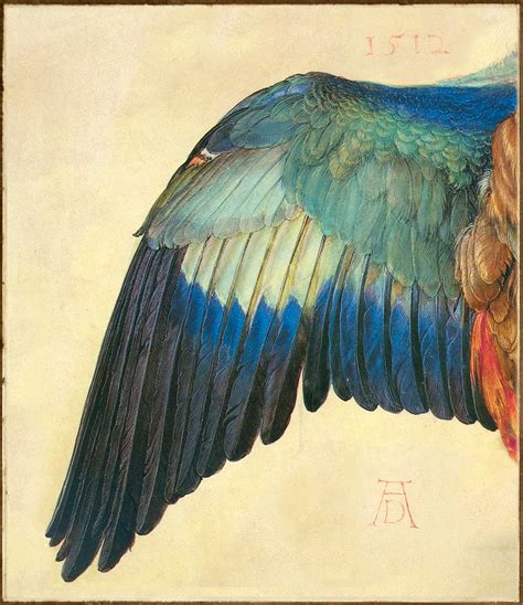 Sign in and start exploring all the free, organizational tools for your email. Albrecht Dürer 'Wing of a European Roller' (modified) 1512… | Flickr