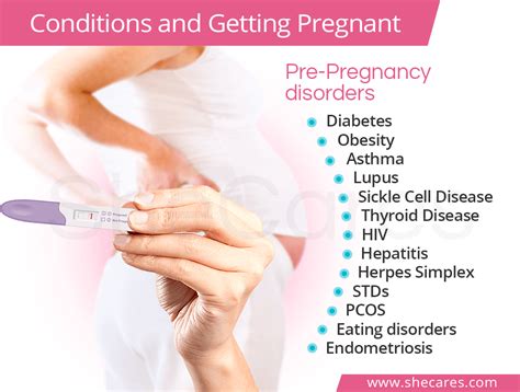 Conditions And Getting Pregnant Shecares Riset