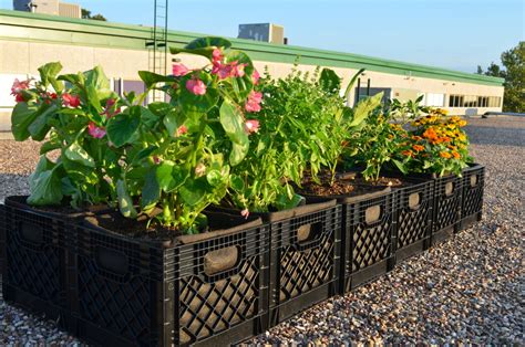 How To Make A Milk Crate Garden Planter Diy Gardening And Better Living