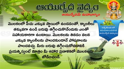 Health Benefits Of Sprouts For Weight Loss And Hair Fall In Telugu