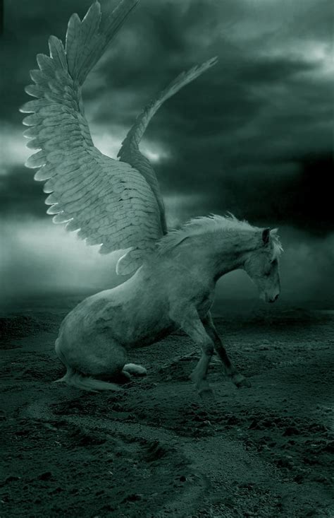 Pegasus Magical Creatures Winged Horse Mythological Creatures