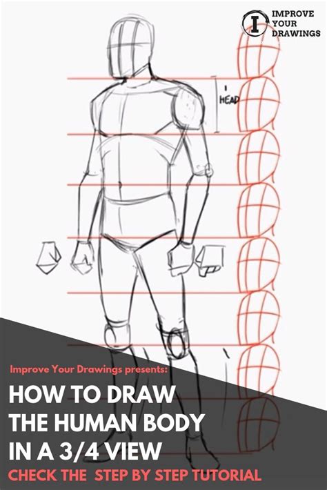 Faye Daily How To Draw A Human Body Step By Step Video