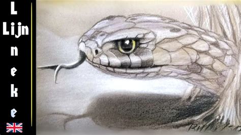 Snakes have a beautiful scaly texture that is very delightful to render on paper. Snake Pencil Drawing at GetDrawings | Free download