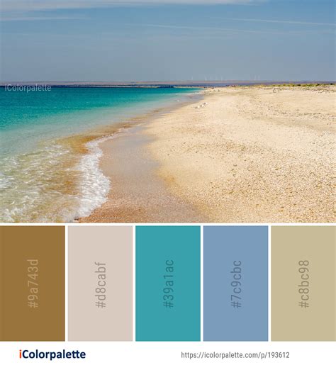 Color Palette Ideas From Sea Beach Coastal And Oceanic Landforms Image