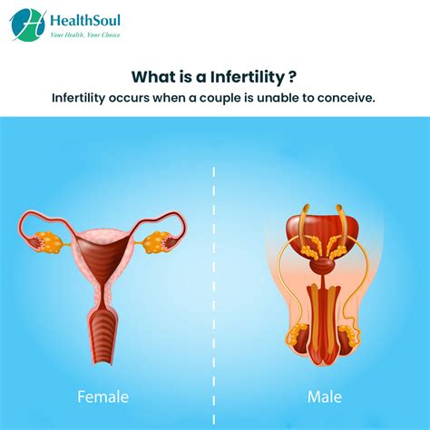 Infertility Causes Diagnosis And Treatment Healthsoul