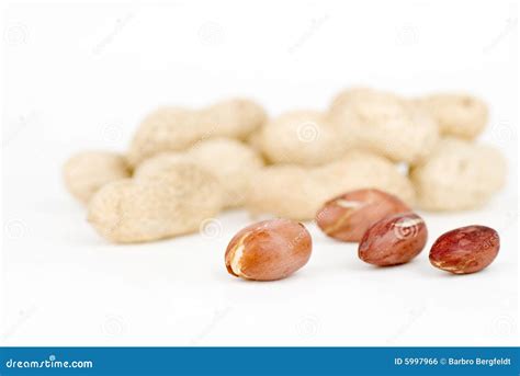 Peanuts Stock Photo Image Of Peanut Close Brown Snack 5997966