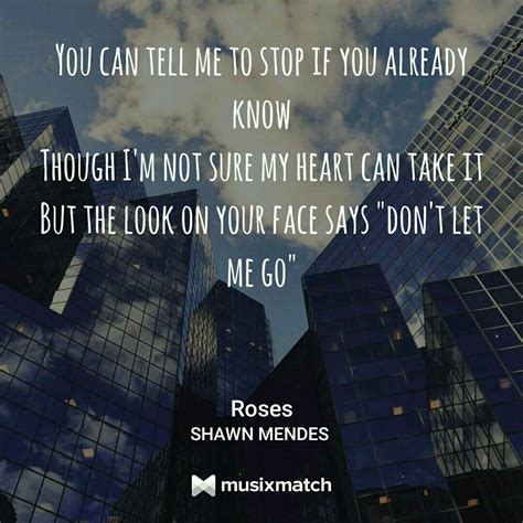 ROSES ASDFGJLKPUT THIS IS LIKE THE BEST SONG | Shawn mendes songs