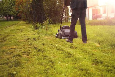 At the garten múnchen one can find everything that's necessary to create your own paradise in your garden: Warum Mulchen die bessere Alternative ist - Garten Blog