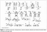 Pictures of Upper Extremity Exercises For Seniors
