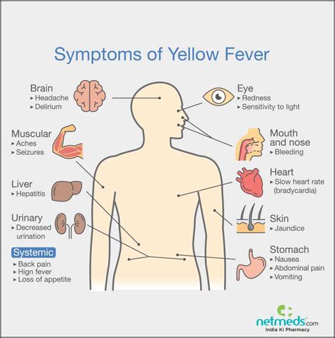 Yellow Fever Vaccine Requirements In Manaus What You Need To Know Travelweeksaopaulo Com