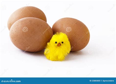Eggs And Chick Stock Image Image Of Newborn Colorful 23885805