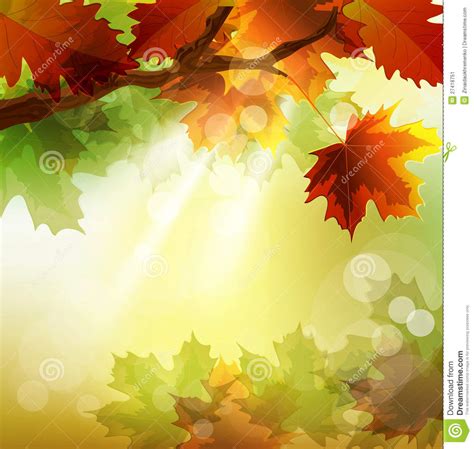 Vector Autumn Background With Maple Leaf Stock Image