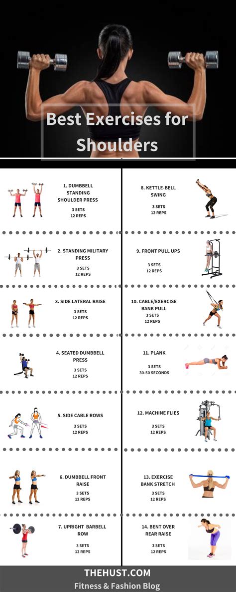 Best Exercises For Your Shoulders Shoulder Workout Shoulder Muscles