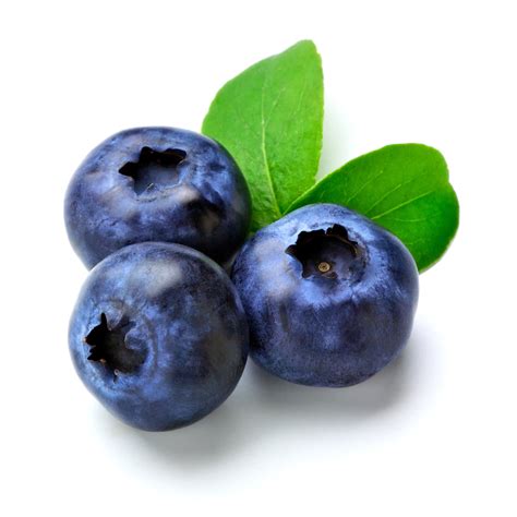 Blueberries Weston Fruit Sales